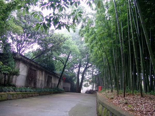 海东互助县古城村天气 海东互助县古城村天气