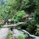 东安舜皇山国家森林公园天气
